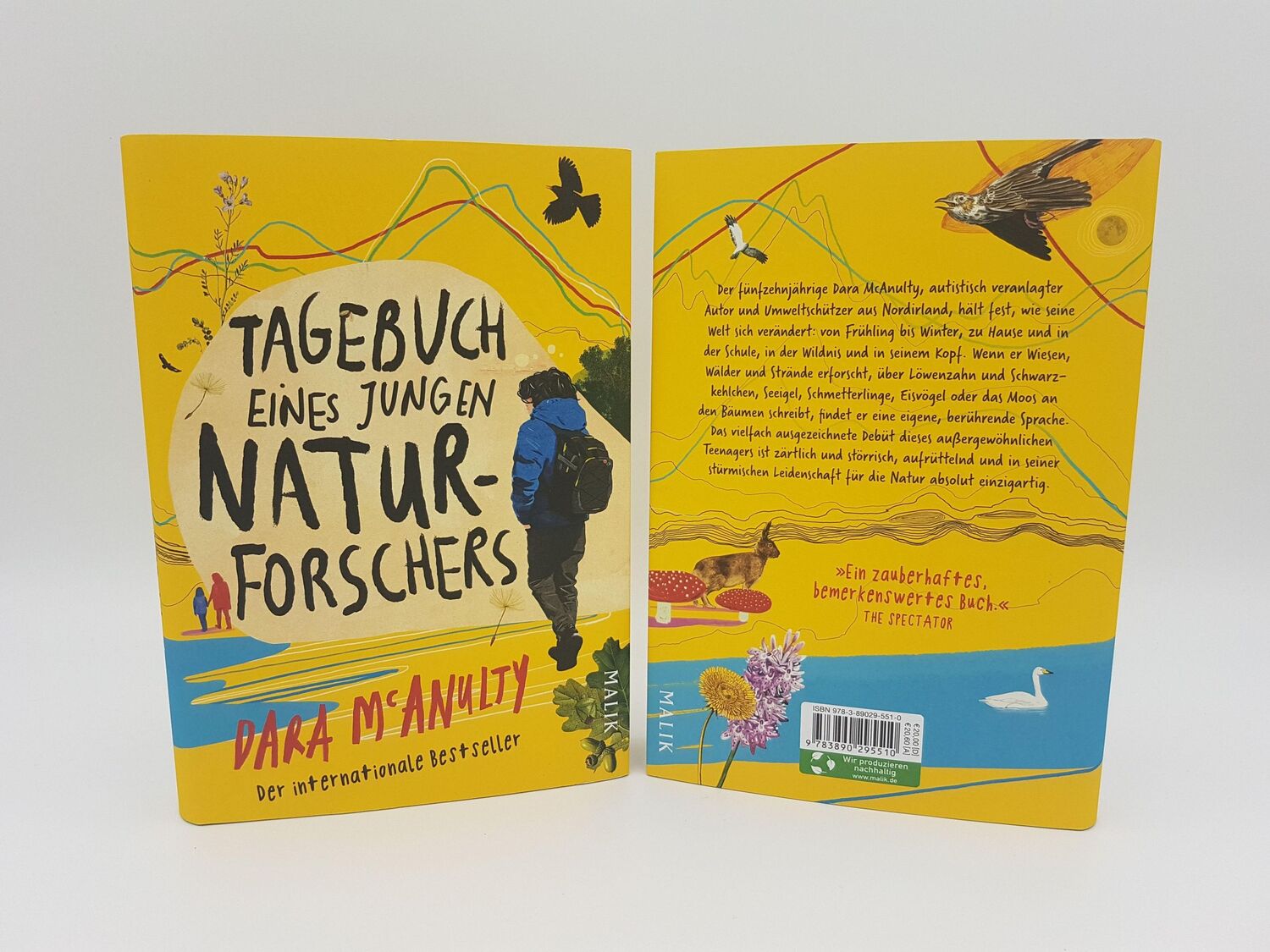 Bild: 9783890295510 | Tagebuch eines jungen Naturforschers | Dara McAnulty | Buch | 256 S.