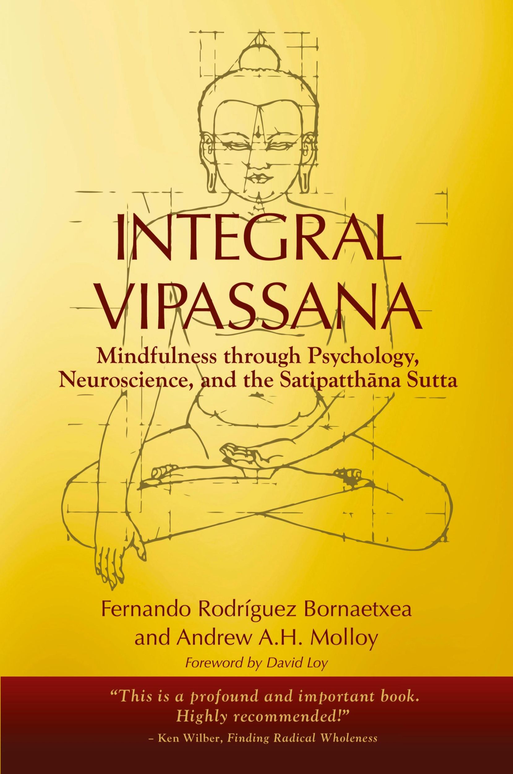 Cover: 9798987920350 | Integral Vipassana | Fernando Rodríguez Bornaetxea (u. a.) | Buch