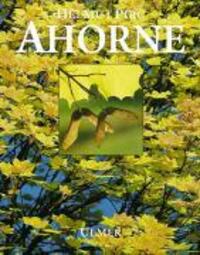 Cover: 9783800165544 | Ahorne | Helmut Pirc | Buch | Deutsch | 1994 | Ulmer Eugen Verlag
