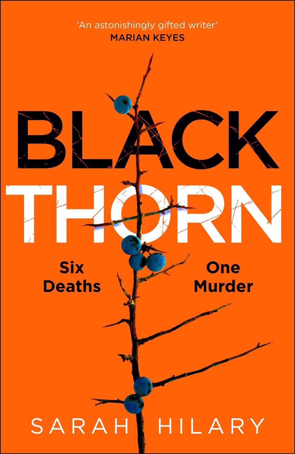Cover: 9781035003884 | Black Thorn | Sarah Hilary | Buch | Gebunden | 2023 | Pan Macmillan