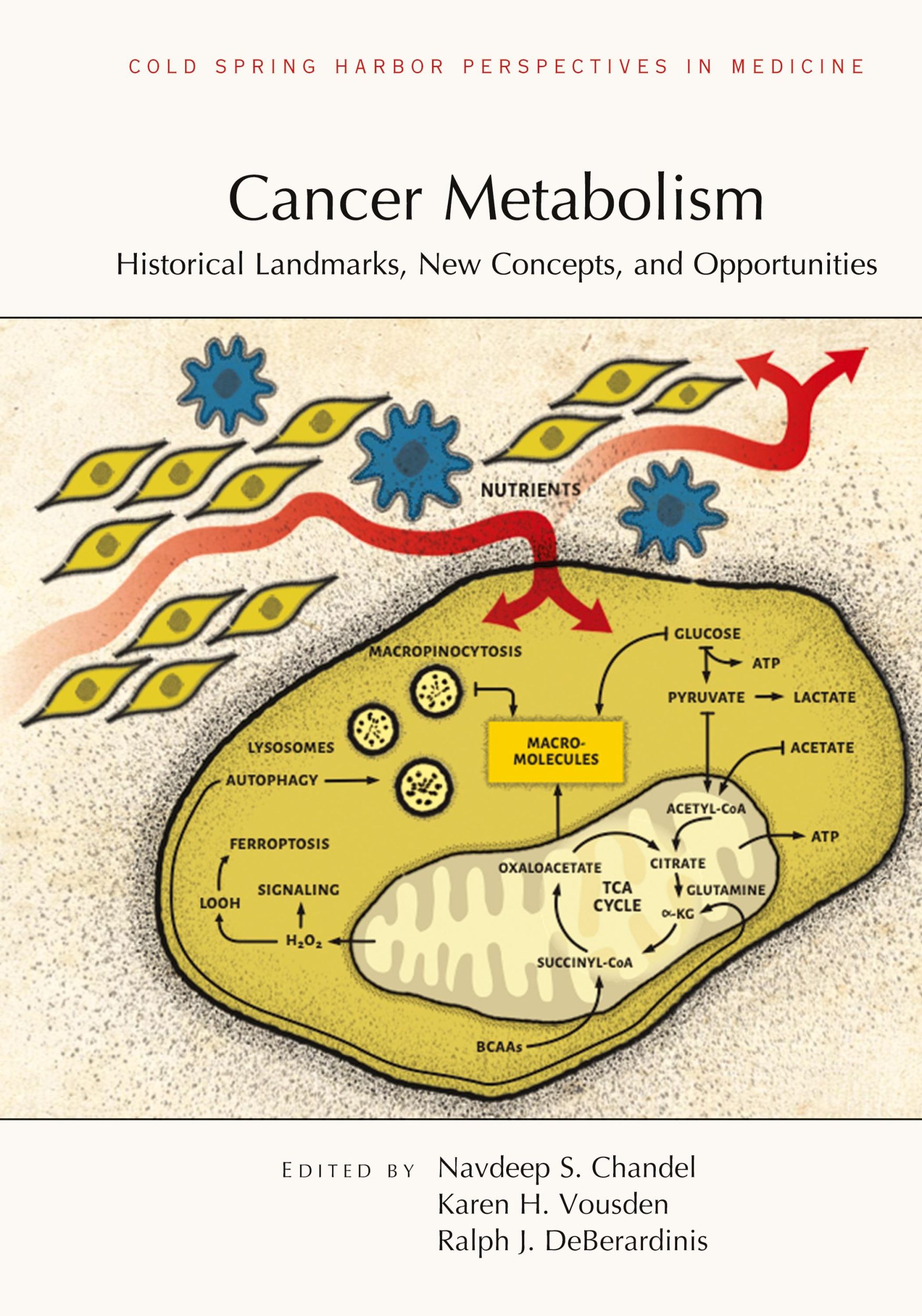 Cover: 9781621824701 | Cancer Metabolism | Ralph J J DeBerardinis (u. a.) | Buch | Englisch