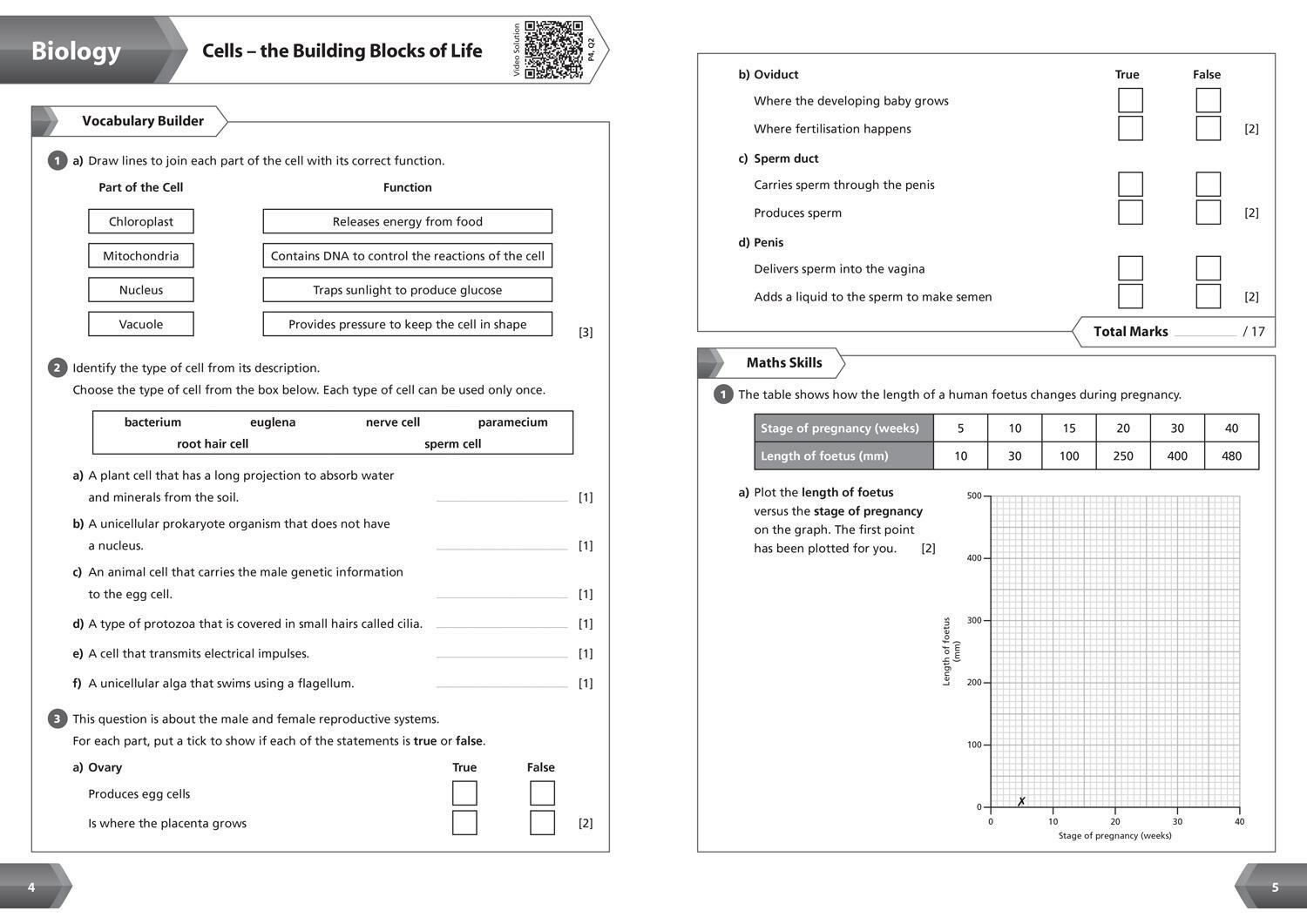 Bild: 9780008553722 | KS3 Science Year 7 Workbook | Ideal for Year 7 | Collins KS3 | Buch