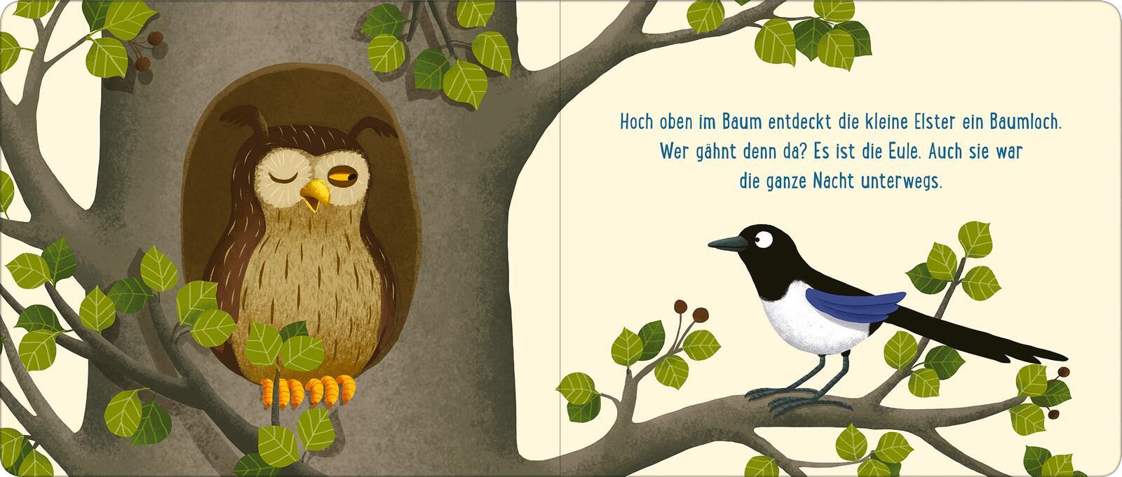 Bild: 9783845866062 | Gute Nacht im Wald | Wo die Tiere schlafen | Emilia Dziubak | Buch