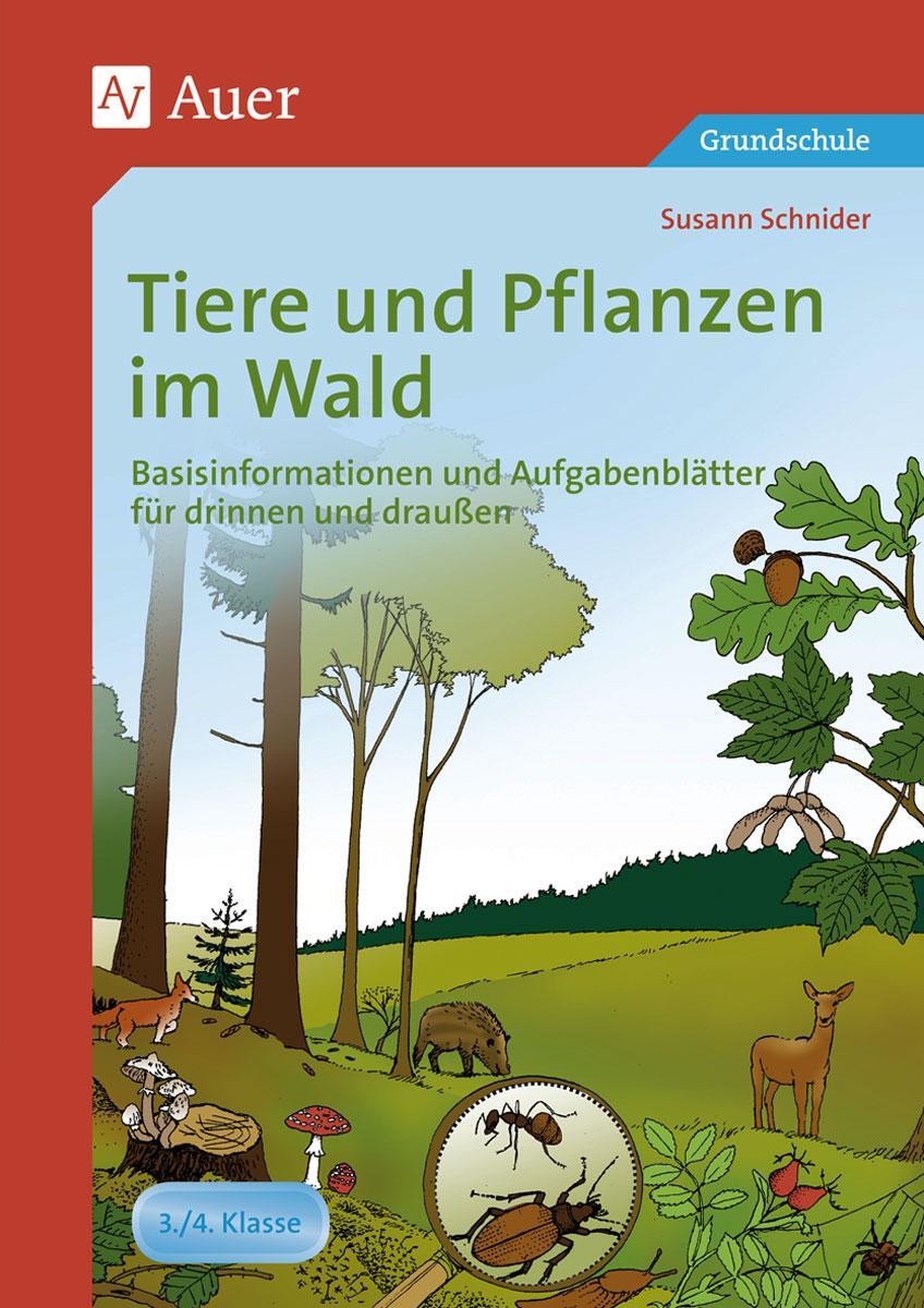 Cover: 9783403065951 | Tiere und Pflanzen im Wald | Susann Schnider | Taschenbuch | Deutsch