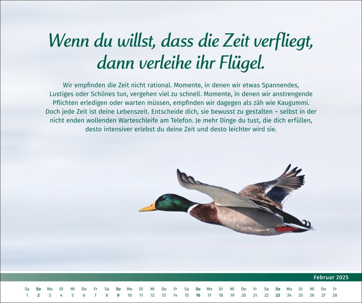 Bild: 9783840196089 | PAL - Der Lebensfreude-Inspirationen-Kalender 2025 | Pal | Kalender