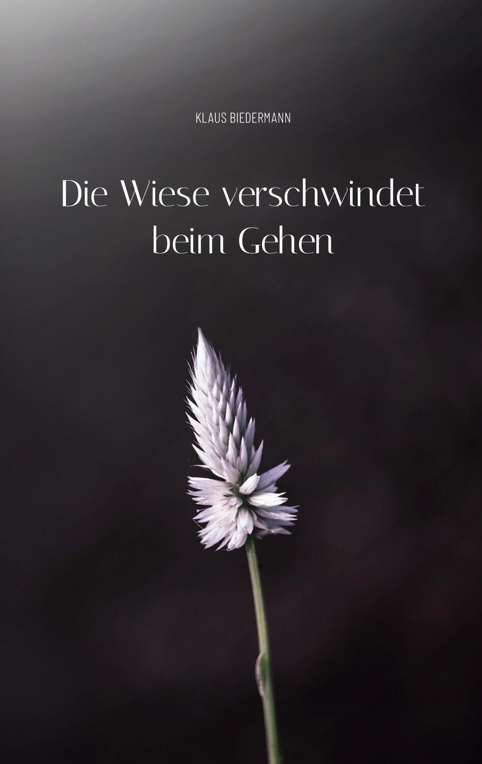 Cover: 9783750411081 | Die Wiese verschwindet beim Gehen | Klaus Biedermann | Taschenbuch