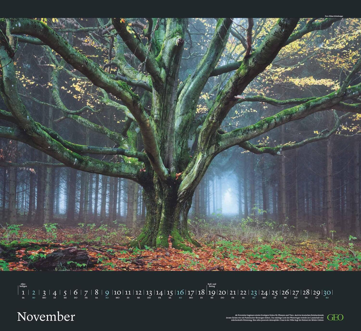 Bild: 4002725988683 | GEO Kalender: Sehnsucht Wald 2025 - Wand-Kalender - Natur-Kalender...