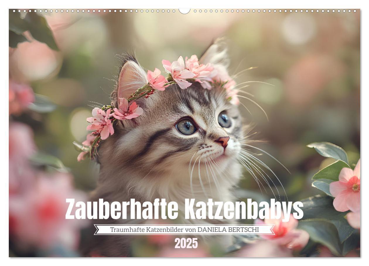 Cover: 9783457208014 | Zauberhafte Katzenbabys (Wandkalender 2025 DIN A2 quer), CALVENDO...