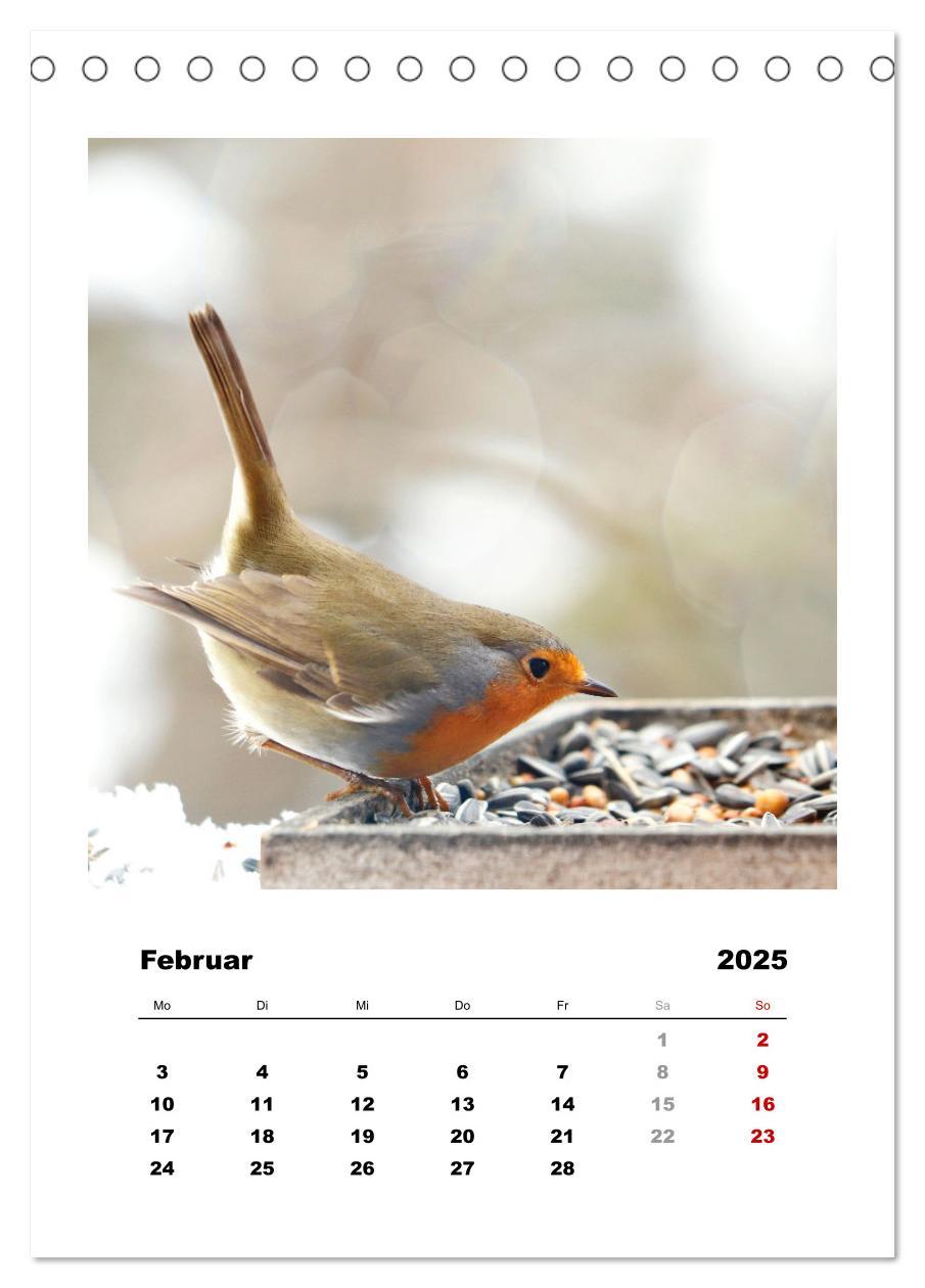 Bild: 9783435916948 | Rotkehlchen, süße kleine Knutschkugeln (Tischkalender 2025 DIN A5...