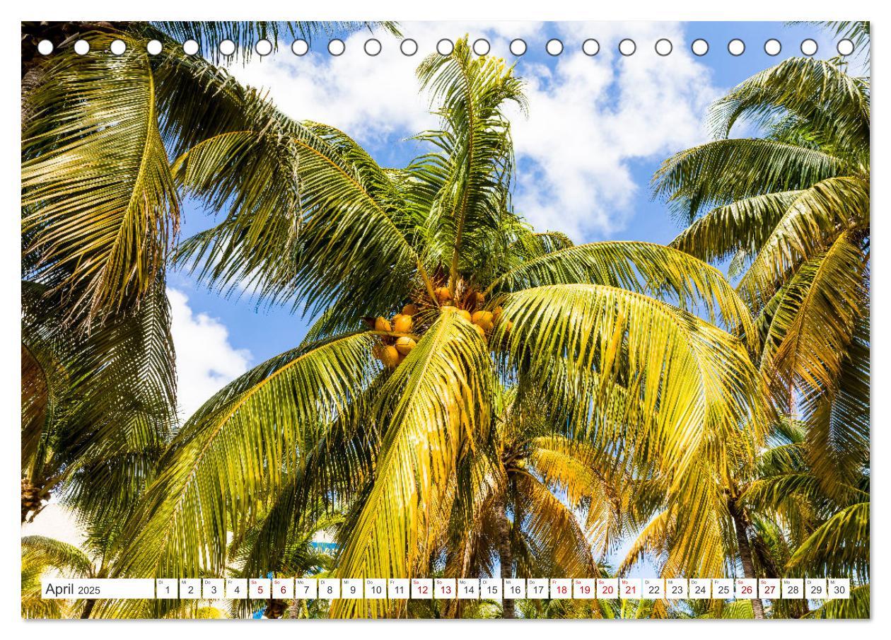 Bild: 9783383895579 | Unterwegs auf Yucatan Mexiko (Tischkalender 2025 DIN A5 quer),...