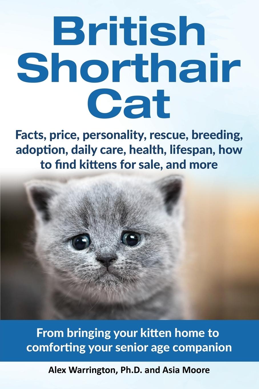 Cover: 9781999913571 | British Shorthair Cat | Alex Warrington (u. a.) | Taschenbuch | 2018