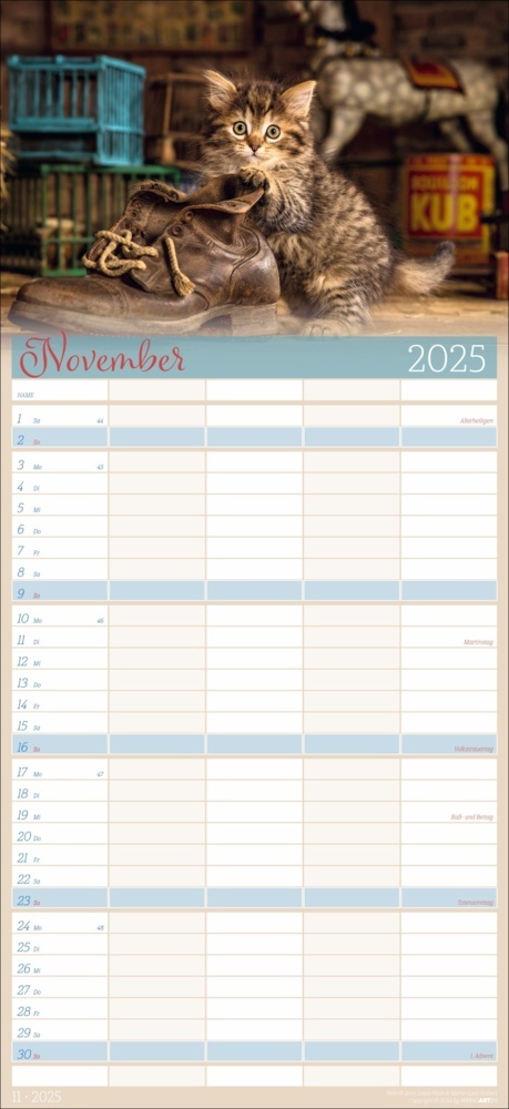 Bild: 9783839901038 | Cool Cats Familienplaner 2025 | Marie-Luce Hubert (u. a.) | Kalender