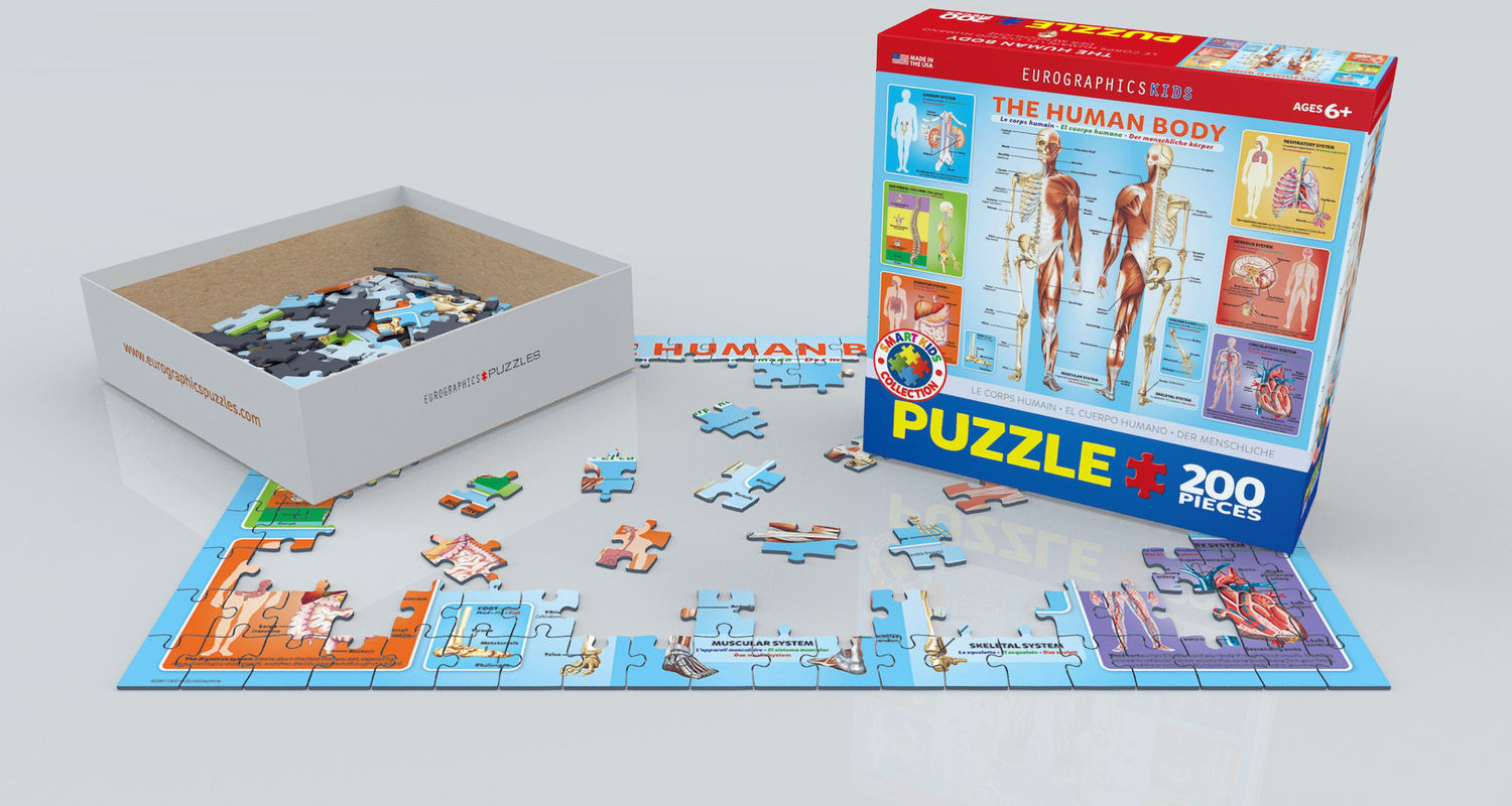 Bild: 628136310000 | Der menschliche Körper (Puzzle) | Spiel | In Spielebox | 6200-1000