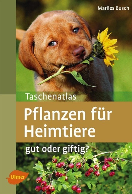 Cover: 9783800180967 | Taschenatlas Pflanzen für Heimtiere | Gut oder giftig? | Marlies Busch