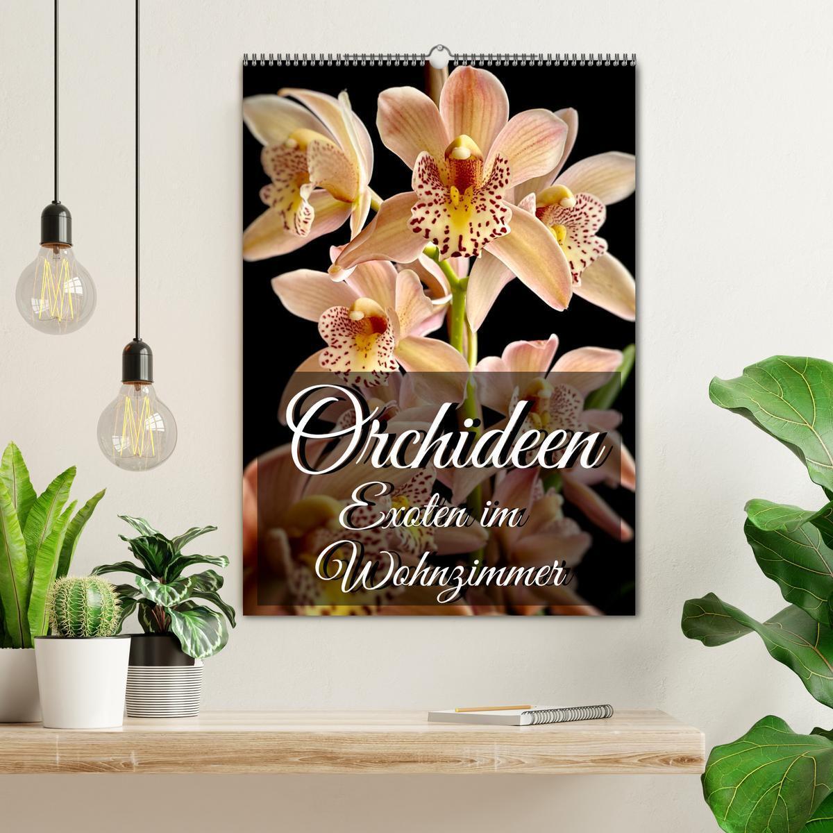 Bild: 9783435880676 | Orchideen - Exoten im Wohnzimmer (Wandkalender 2025 DIN A2 hoch),...