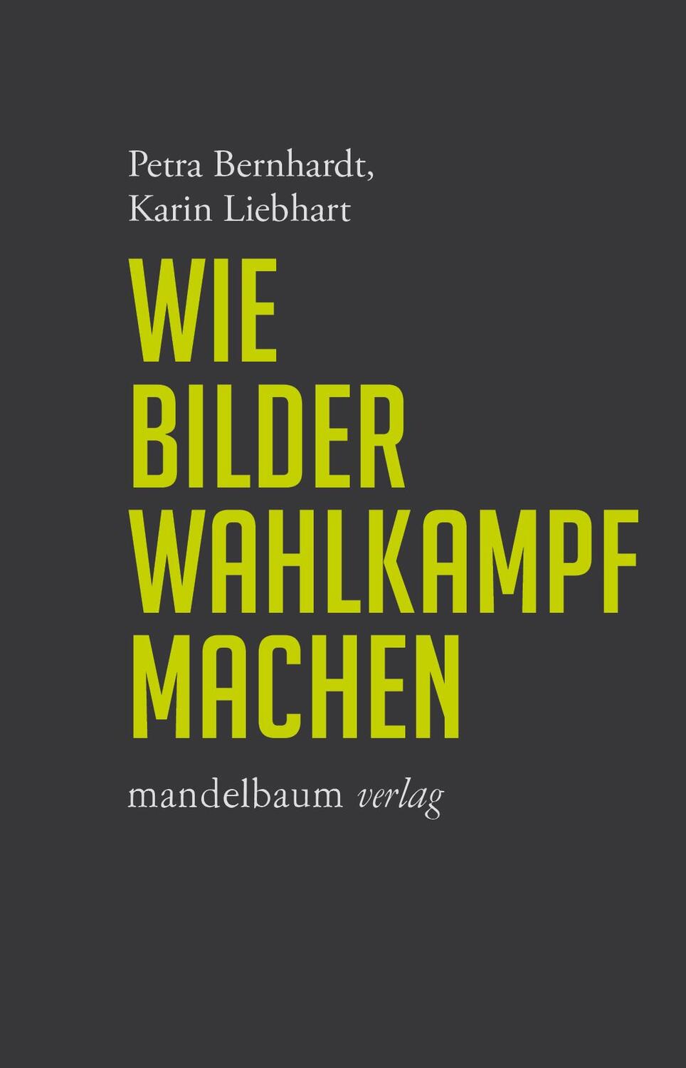Cover: 9783854768500 | Wie Bilder Wahlkampf machen | Petra Bernhardt (u. a.) | Taschenbuch