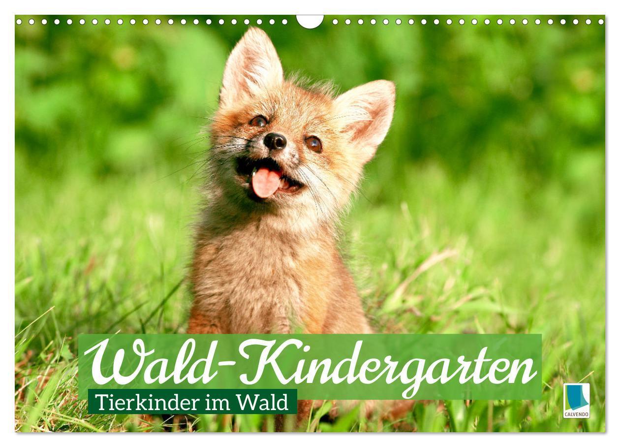 Cover: 9783383653063 | Wald-Kindergarten: Tierkinder im Wald (Wandkalender 2024 DIN A3...