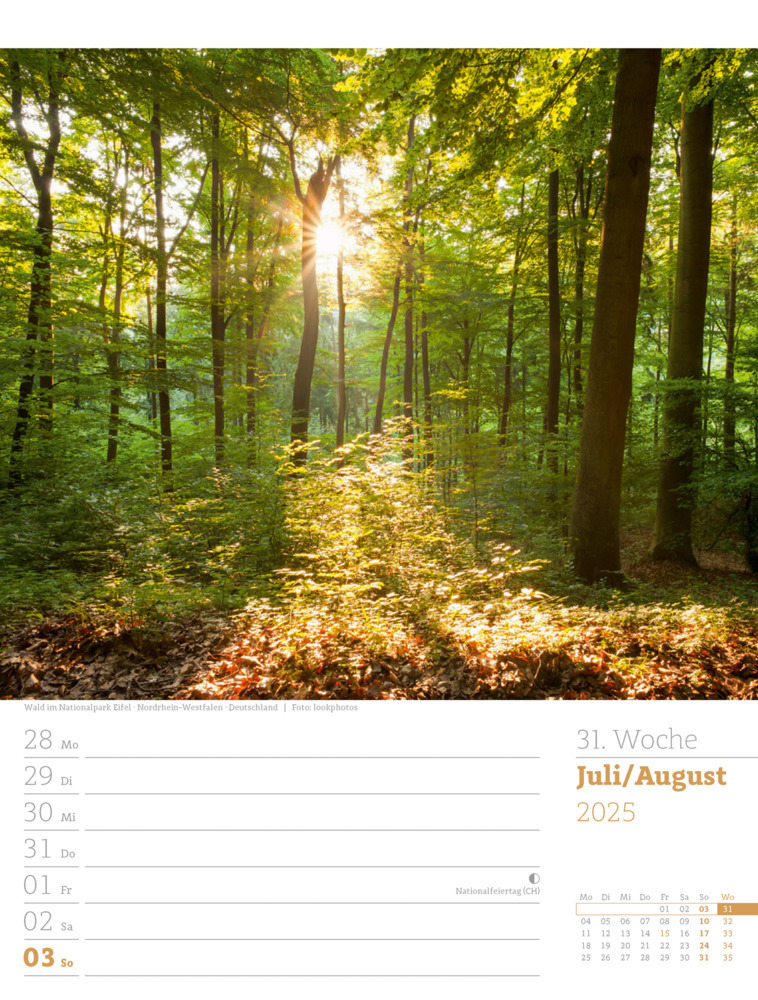 Bild: 9783838425979 | Unser Wald - Wochenplaner Kalender 2025 | Ackermann Kunstverlag | 2025