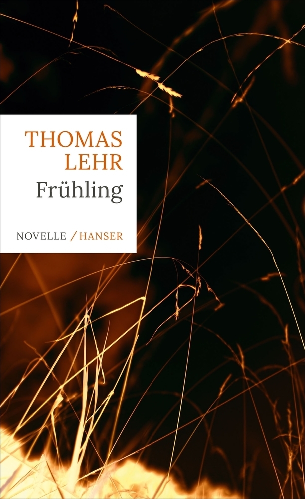 Cover: 9783446261730 | Frühling | Novelle | Thomas Lehr | Buch | 2019 | Hanser