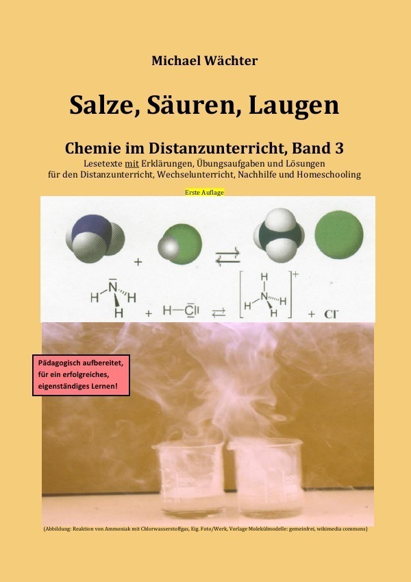 Cover: 9783753159249 | Salze Säuren Laugen | Chemie im Distanzunterricht, Band 3 | Wächter