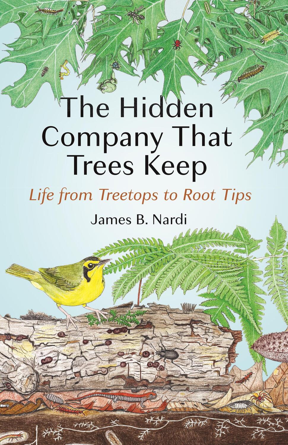 Cover: 9780691237978 | The Hidden Company That Trees Keep | Life from Treetops to Root Tips