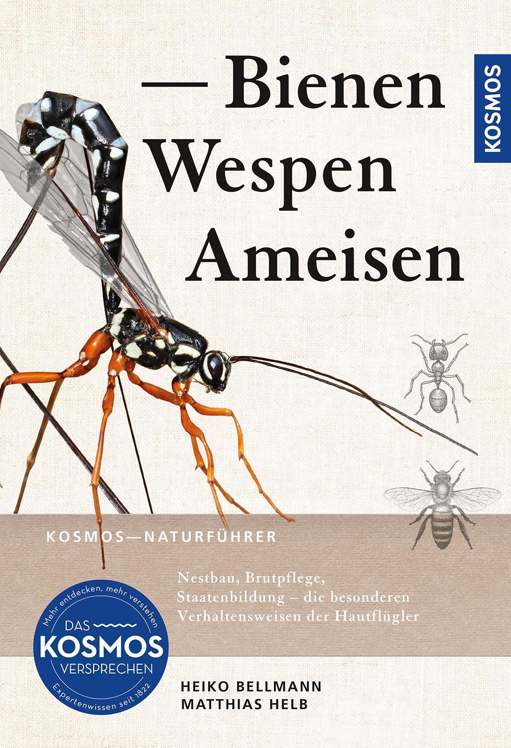 Cover: 9783440179826 | Bienen, Wespen, Ameisen | Heiko Bellmann (u. a.) | Taschenbuch | 2024