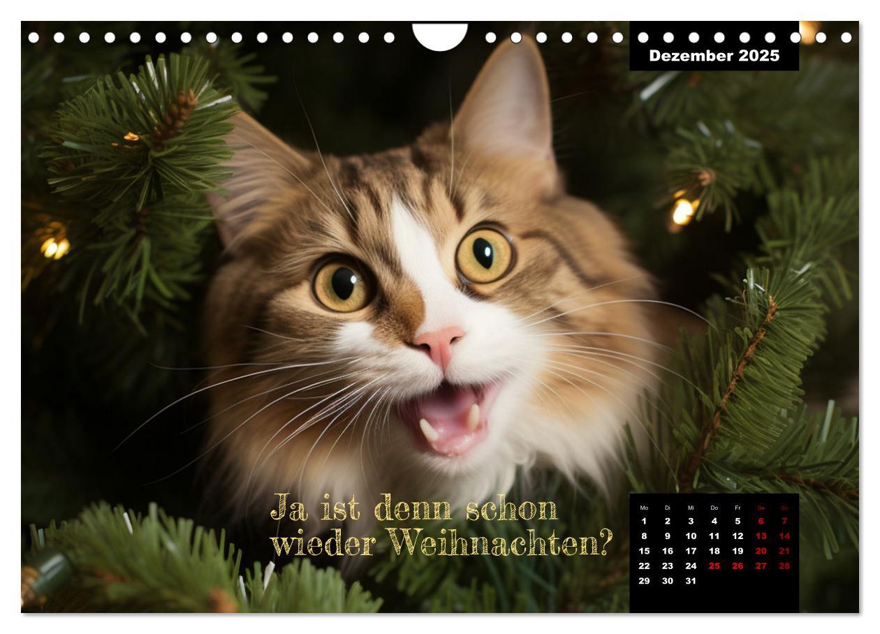 Bild: 9783383834912 | Katzen können alles, außer traurig. (Wandkalender 2025 DIN A4...