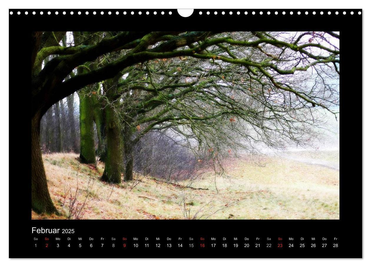 Bild: 9783435731732 | Landschaft Teufelsmoor / 2025 (Wandkalender 2025 DIN A3 quer),...