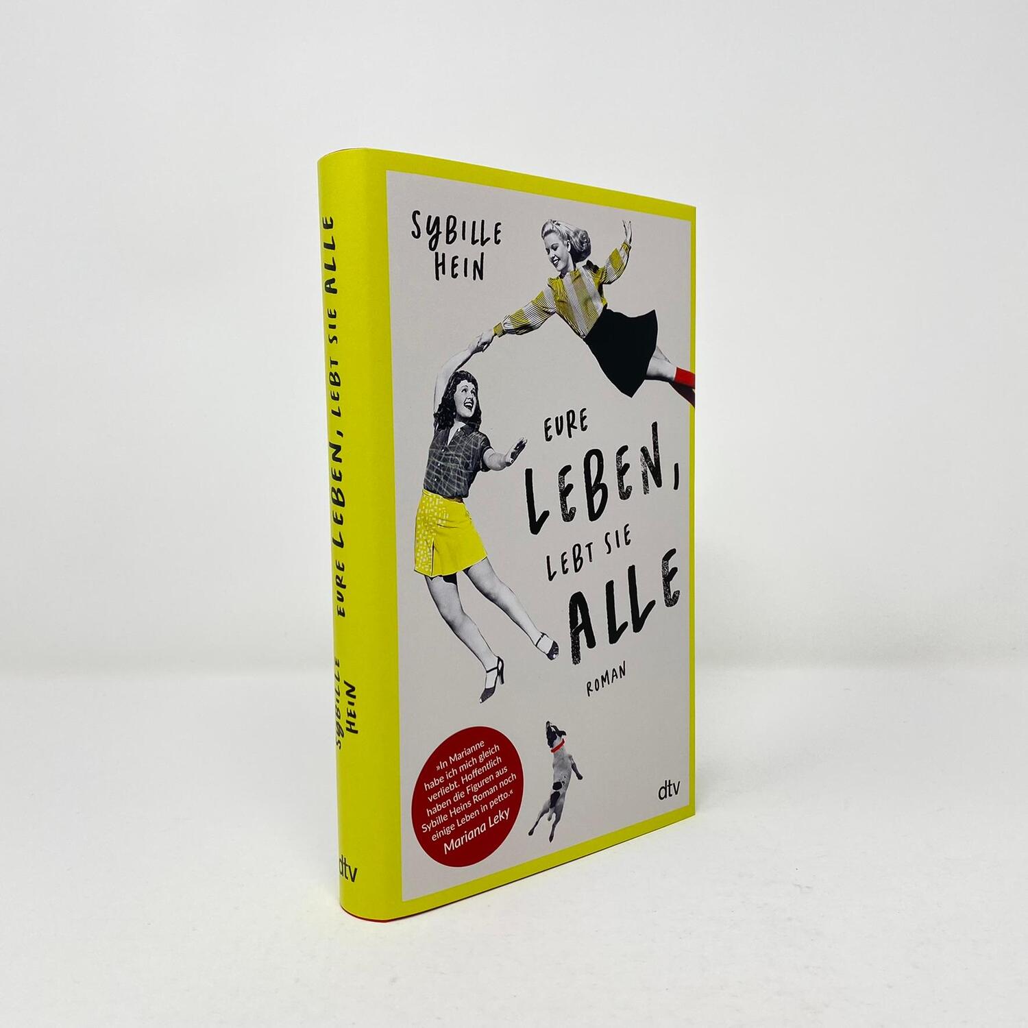 Bild: 9783423282826 | Eure Leben, lebt sie alle | Roman | Sybille Hein | Buch | 336 S.