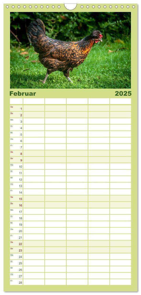 Bild: 9783457116302 | Familienplaner 2025 - Gartenhühner mit 5 Spalten (Wandkalender, 21...