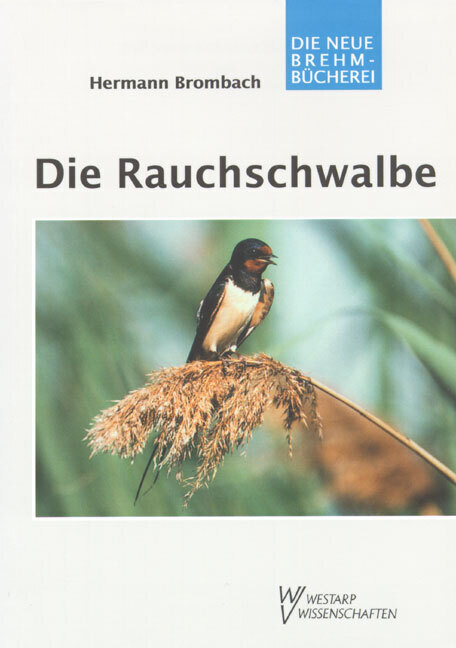 Cover: 9783894329082 | Die Rauchschwalbe | Hirundo rustica | Hermann Brombach | Taschenbuch