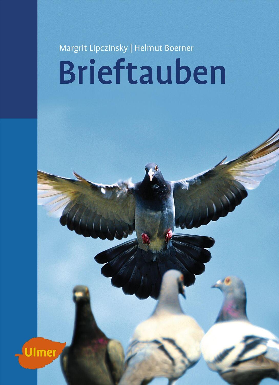 Cover: 9783800175710 | Brieftauben | Margrit Lipczinsky (u. a.) | Buch | Deutsch | 2011