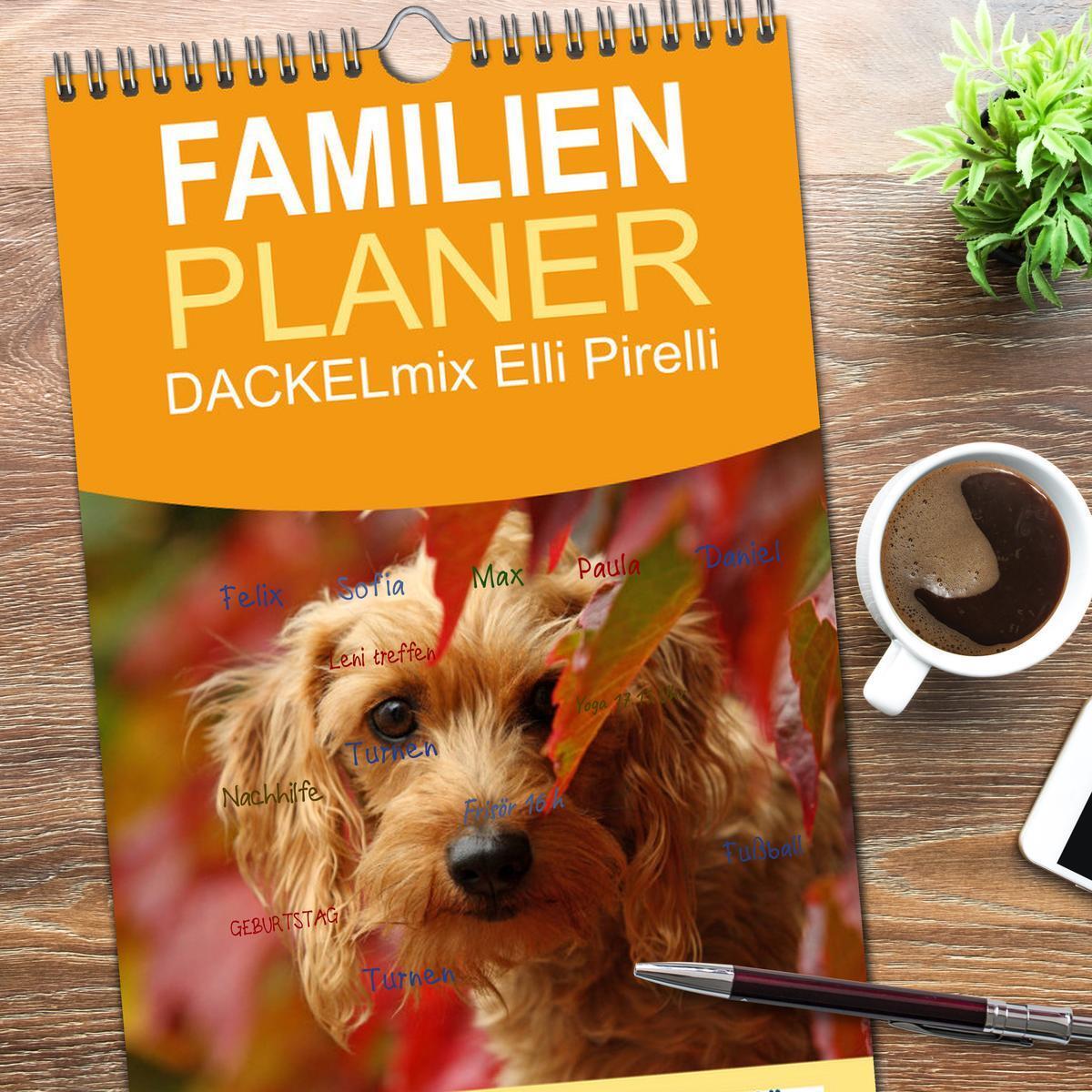 Bild: 9783457115039 | Familienplaner 2025 - DACKELmix Elli Pirelli mit 5 Spalten...