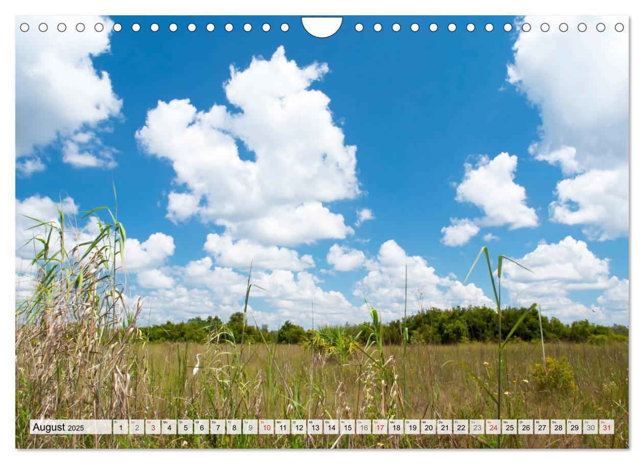 Bild: 9783435820283 | FLORIDA Malerischer Sonnenscheinstaat (Wandkalender 2025 DIN A4...