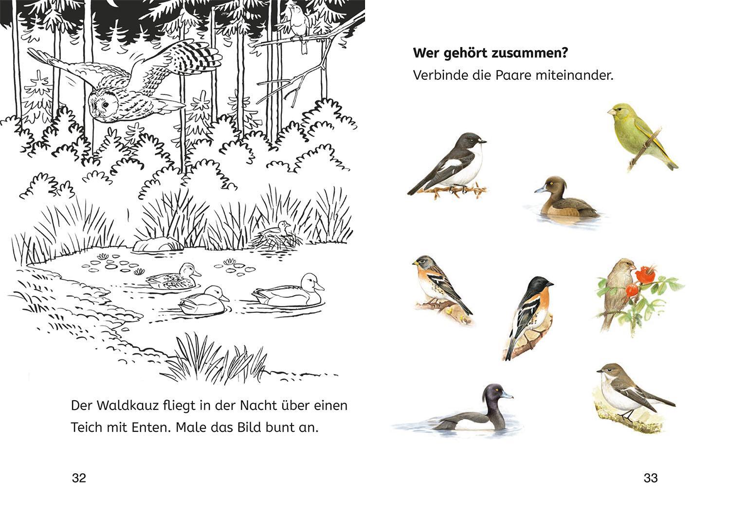 Bild: 9783440178188 | Lesen lernen mit Naturrätseln, Bücherhelden 2. Klasse, heimische Vögel