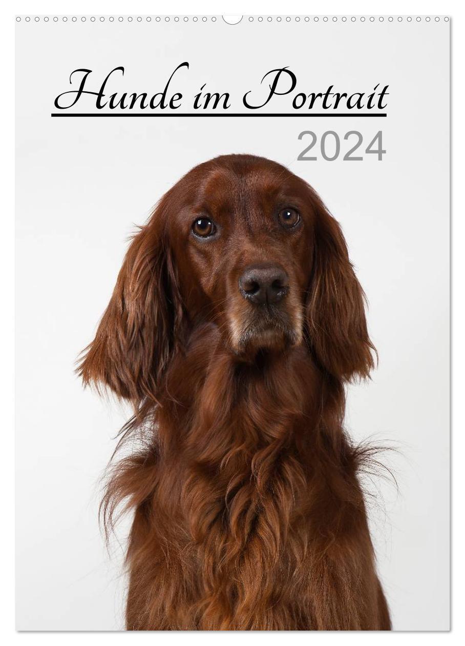 Cover: 9783383394553 | Hunde im Portrait (Wandkalender 2024 DIN A2 hoch), CALVENDO...