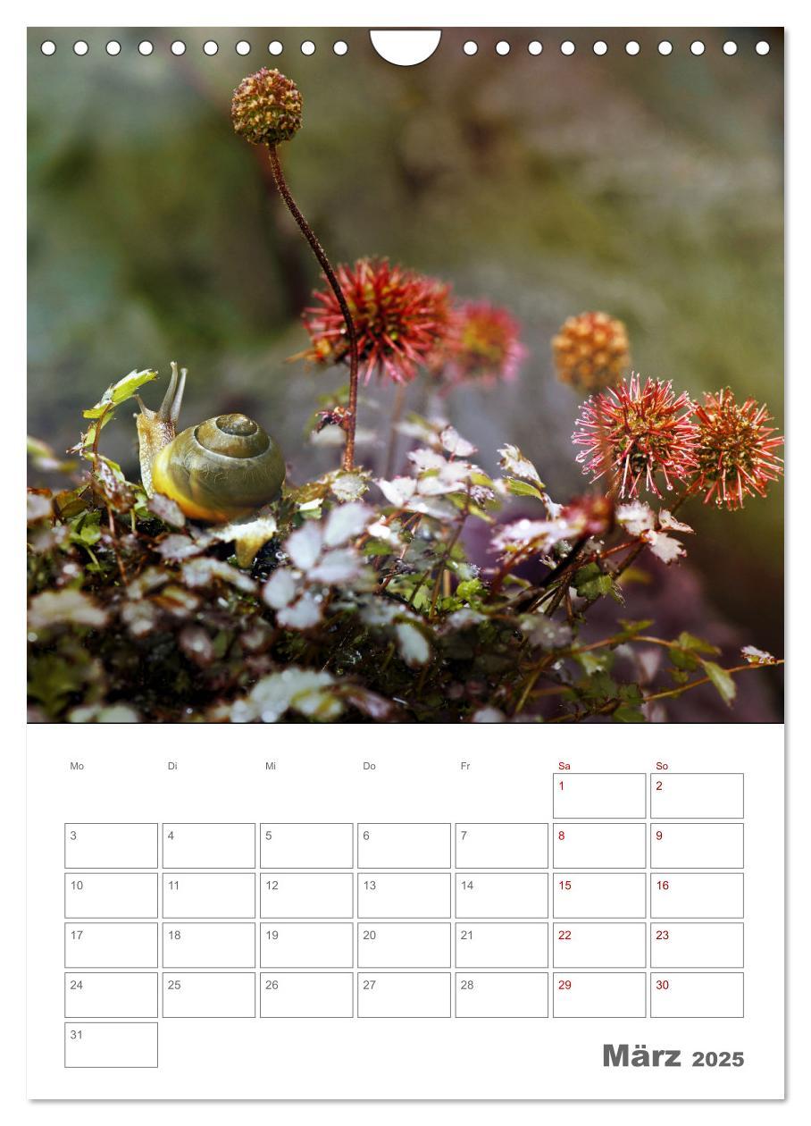 Bild: 9783435917648 | Helden in der Natur (Wandkalender 2025 DIN A4 hoch), CALVENDO...