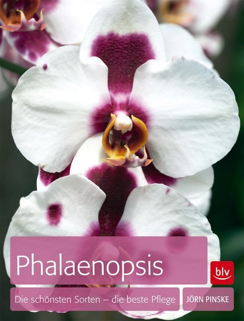 Cover: 9783835410305 | Phalaenopsis | Die schönsten Sorten - die beste Pflege | Jörn Pinske