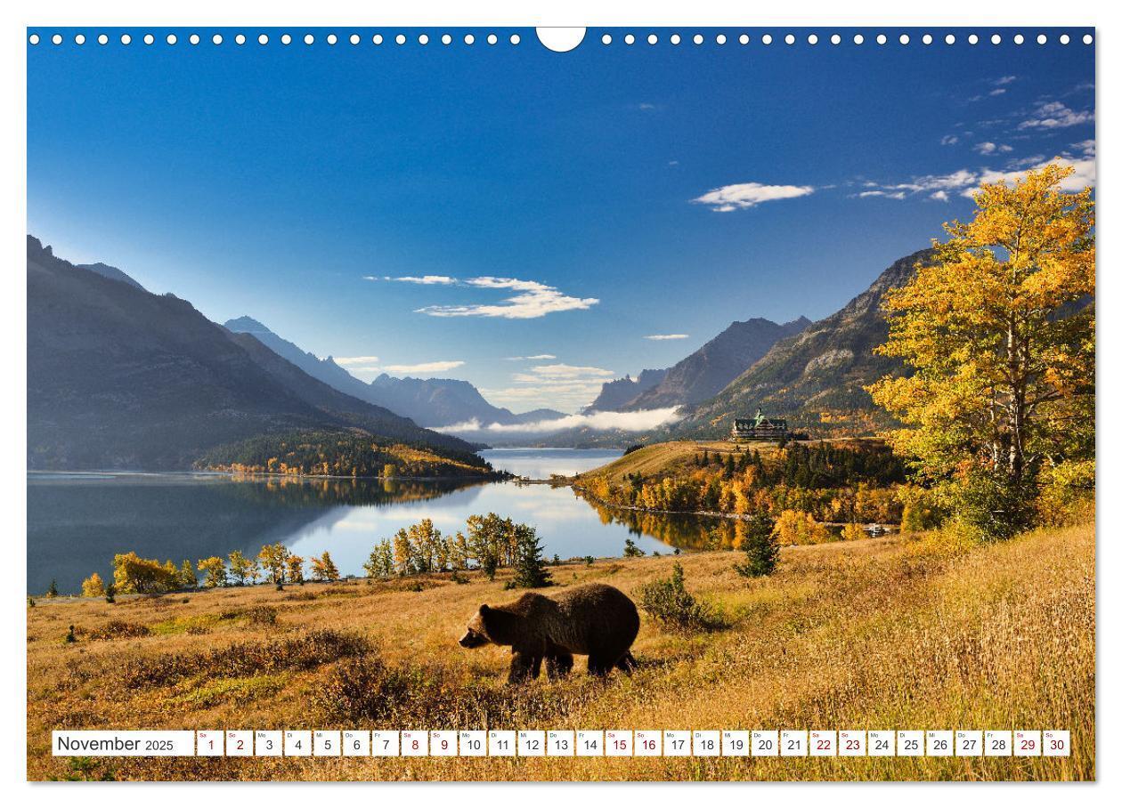 Bild: 9783383886898 | KANADA - Die Bären der Rocky Mountains (Wandkalender 2025 DIN A3...