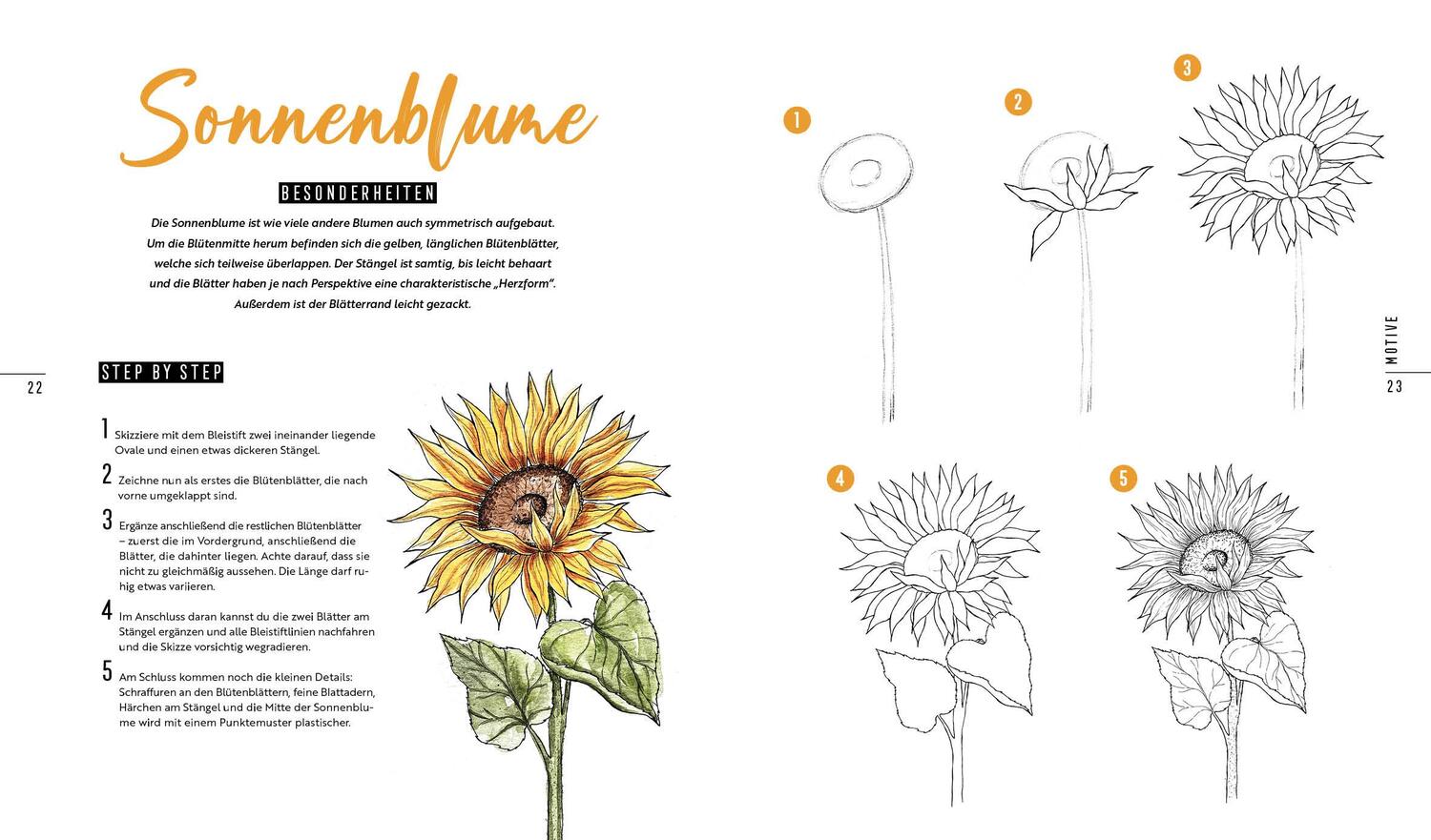 Bild: 9783745920871 | How to Draw Flowers | 50 Blumen und Blüten in nur 5 Schritten zeichnen
