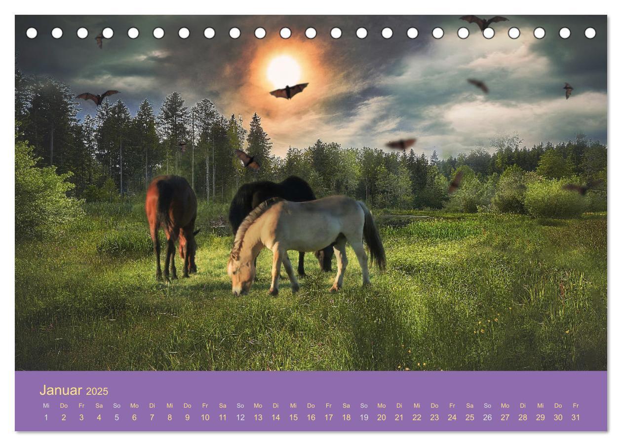 Bild: 9783435061044 | Von der Magie der Pferde (Tischkalender 2025 DIN A5 quer), CALVENDO...