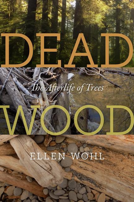 Cover: 9780870715273 | Dead Wood: The Afterlife of Trees | Ellen Wohl | Taschenbuch | 2022