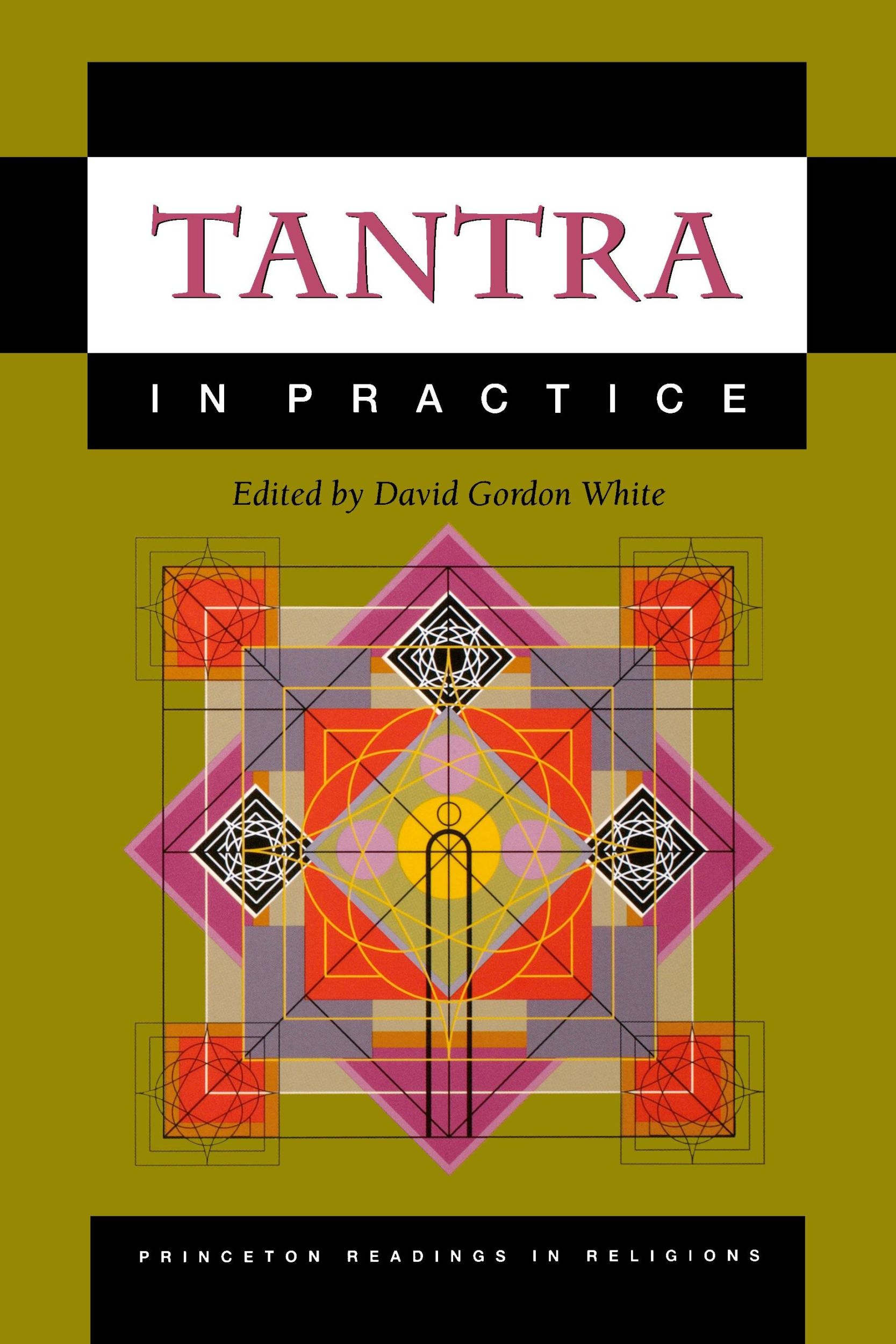 Cover: 9780691057798 | Tantra in Practice | David Gordon White | Taschenbuch | Englisch