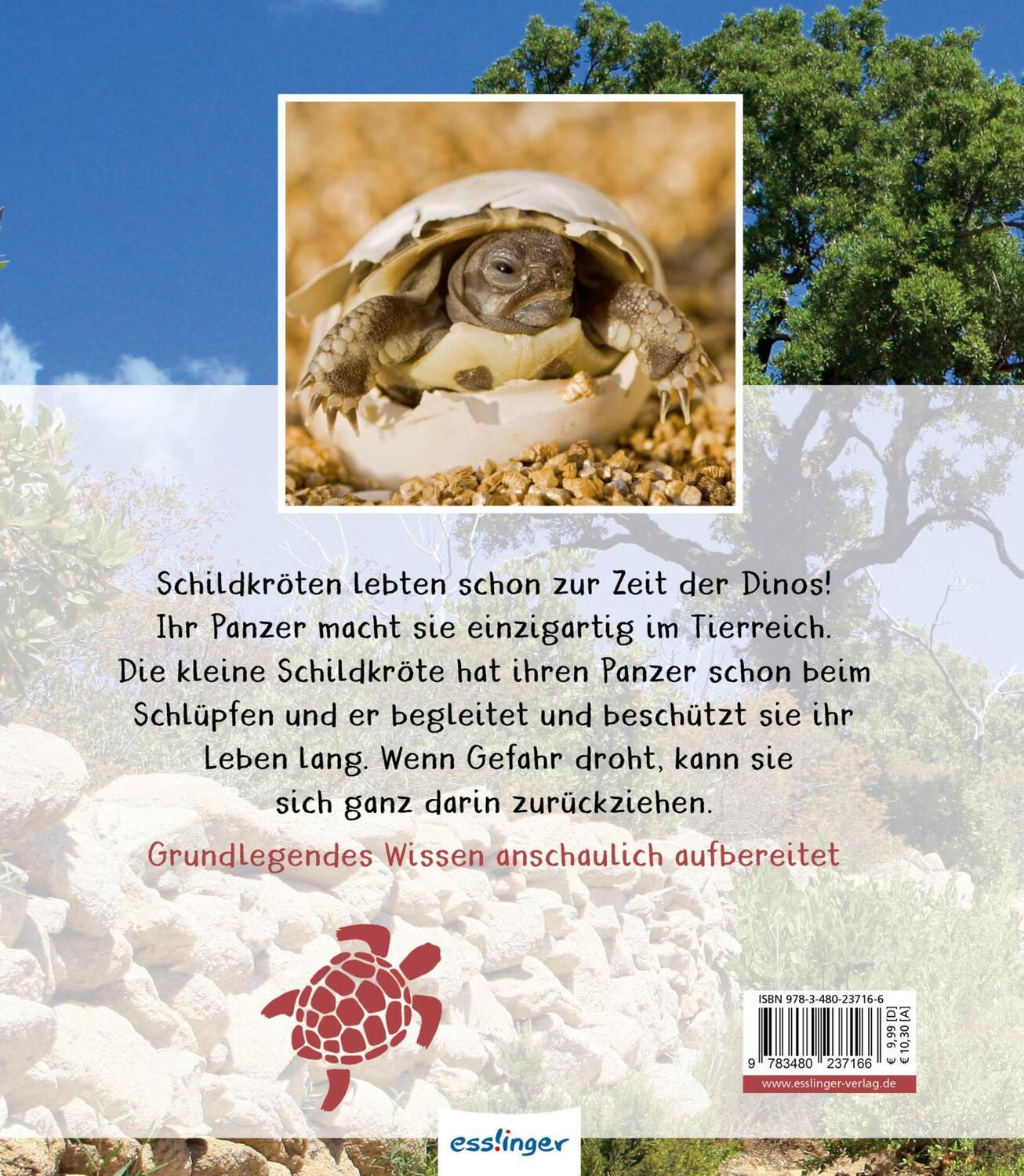 Rückseite: 9783480237166 | Meine große Tierbibliothek: Die Schildkröte | Axel Gutjahr | Buch