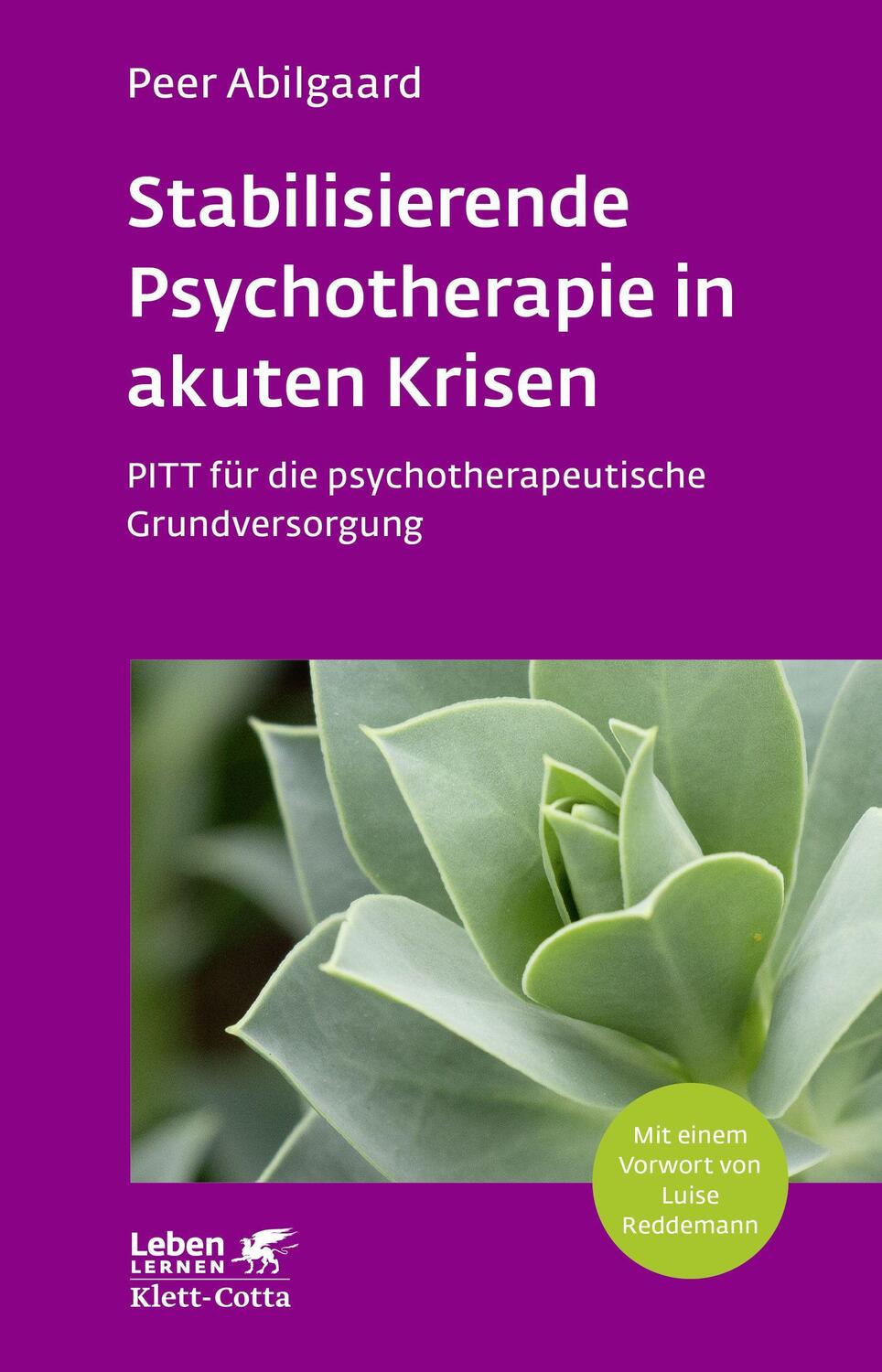 Cover: 9783608891225 | Stabilisierende Psychotherapie in akuten Krisen (Leben Lernen, Bd....