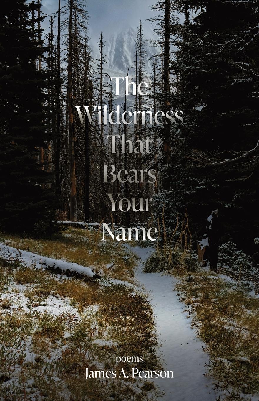 Cover: 9798990221000 | The Wilderness That Bears Your Name | James A Pearson | Taschenbuch