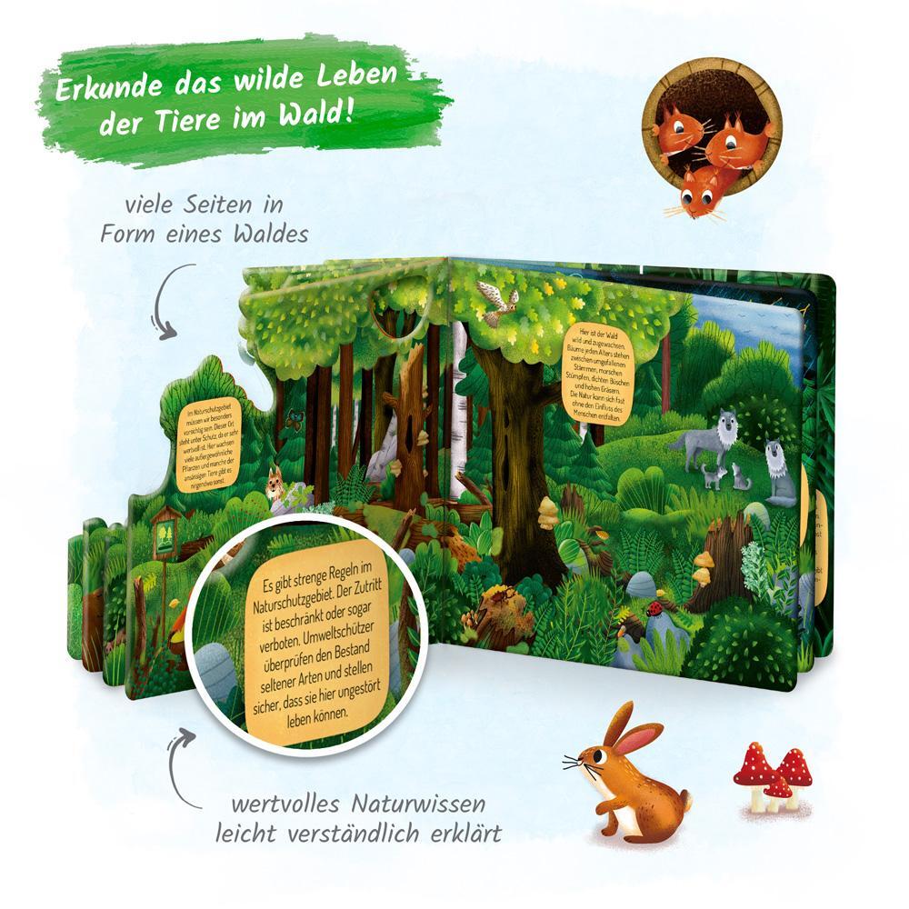 Bild: 9783988021489 | Trötsch Fensterbuch Im Wald | Trötsch Verlag GmbH &amp; Co. KG | Buch