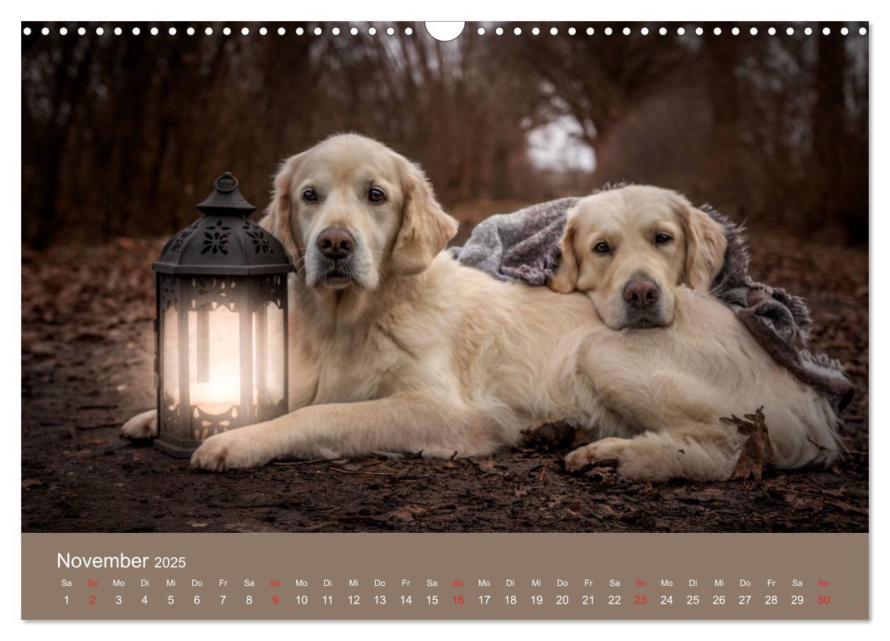 Bild: 9783435153480 | Grace und Cuba - Das verrückte Leben der Golden Girls (Wandkalender...