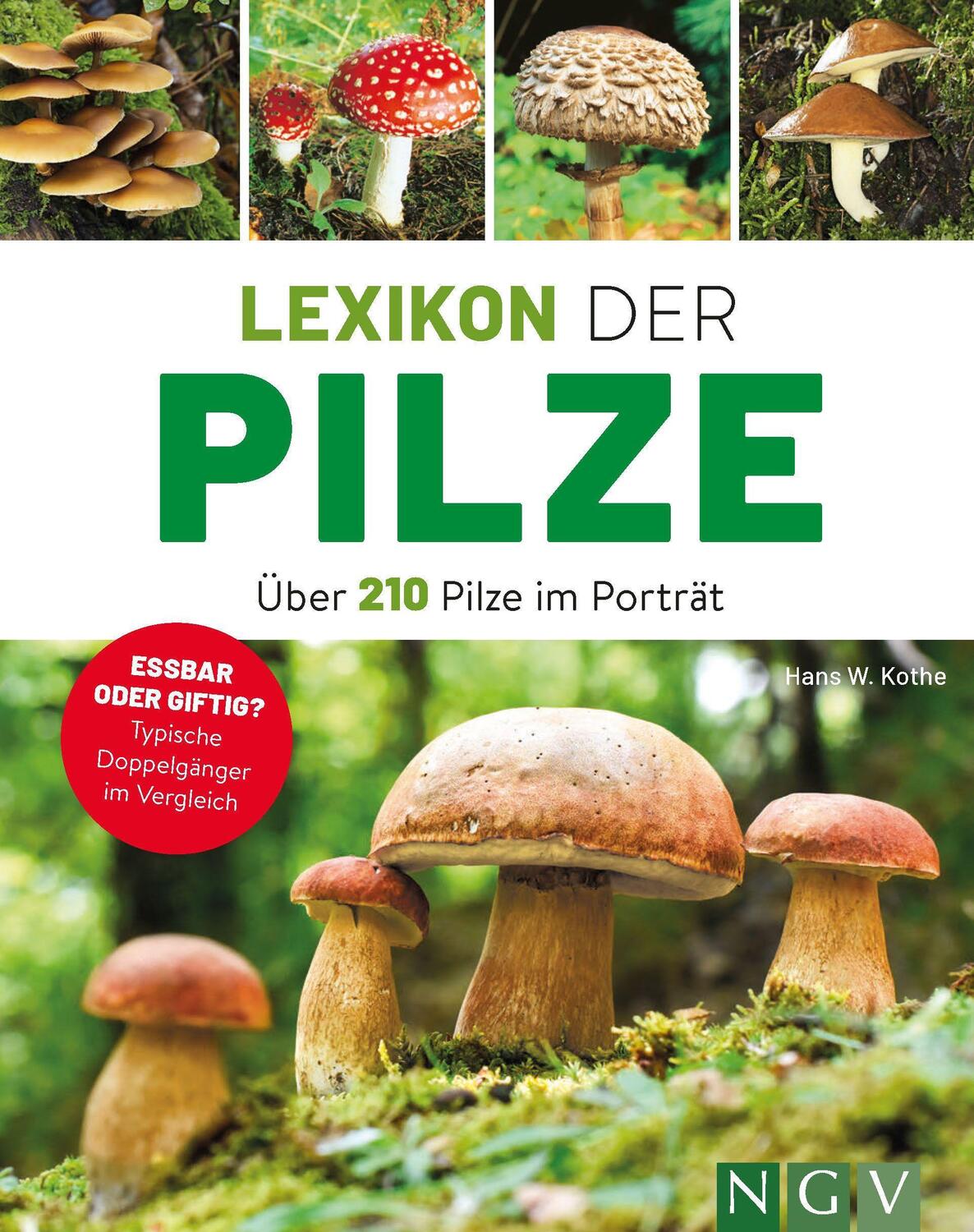 Cover: 9783625191094 | Lexikon der Pilze - Über 210 Pilze im Porträt | Hans W. Kothe | Buch