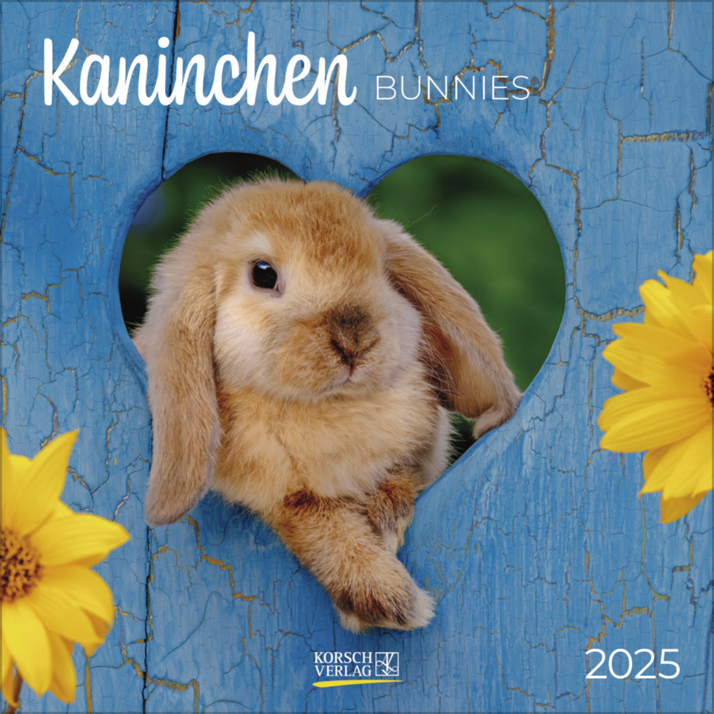 Cover: 9783731876564 | Kaninchen 2025 | Korsch Verlag | Kalender | Englisch Broschur | 13 S.